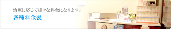 各種料金表